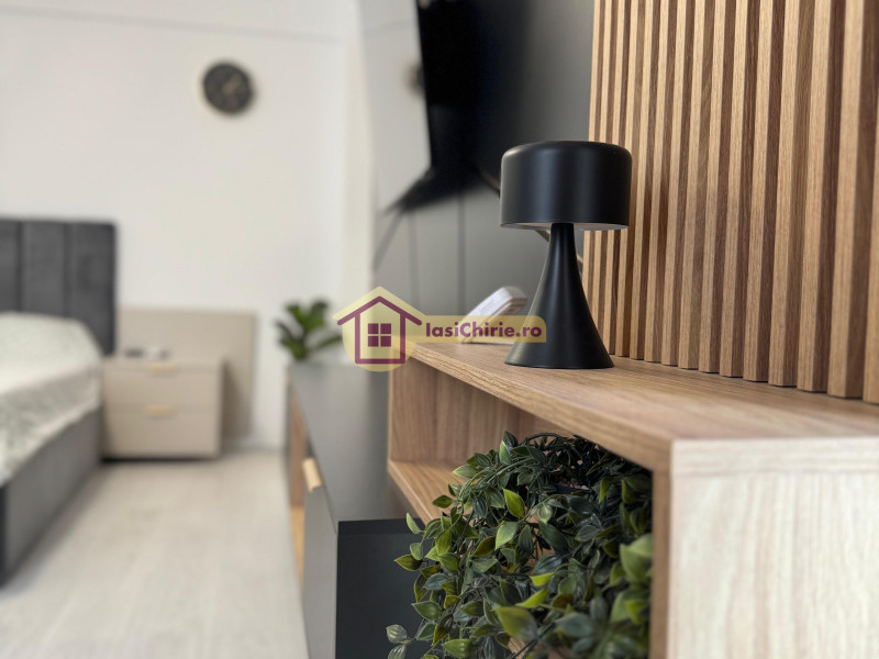 Apartament de inchiriat cu 2 camere in Iasi, zona Visani - Poza 2