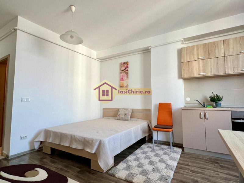 Apartament de inchiriat cu o camera in Iasi, zona Tatarasi - Poza 3