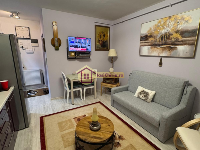 Apartament de vanzare cu 2 camere in Iasi, zona Pacurari - Poza 7