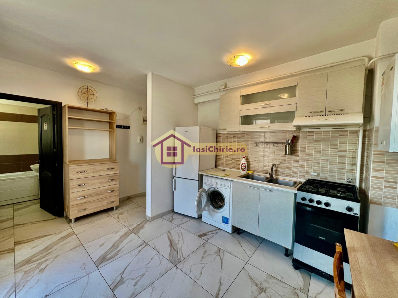 Apartament de inchiriat cu o camera in Iasi, de tip Open space, suprafata de 25 mp, zona Central(Palas Campus)