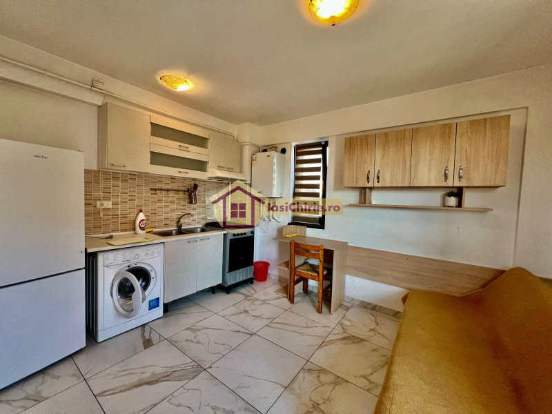 Apartament de inchiriat cu o camera in Iasi, zona Central - Poza 2
