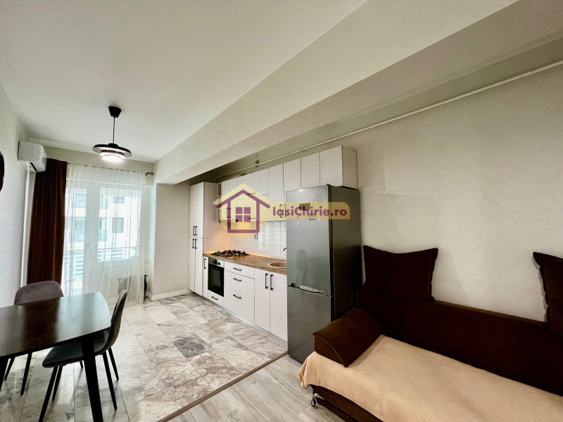 Apartament de inchiriat cu 2 camere in Iasi, zona Copou - Poza 7