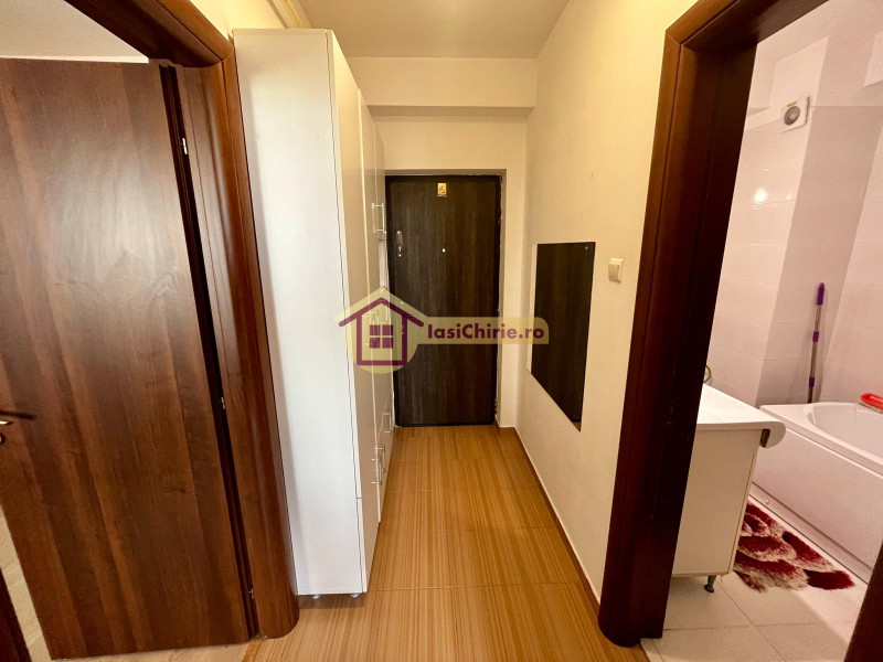 Apartament de inchiriat cu o camera in Iasi, zona Galata - Poza 7