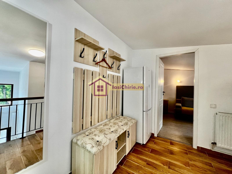 Apartament de inchiriat cu o camera in Iasi, zona Central - Poza 9
