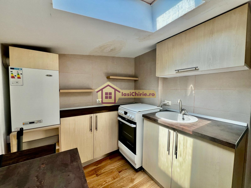 Apartament de inchiriat cu o camera in Iasi, zona Central - Poza 11