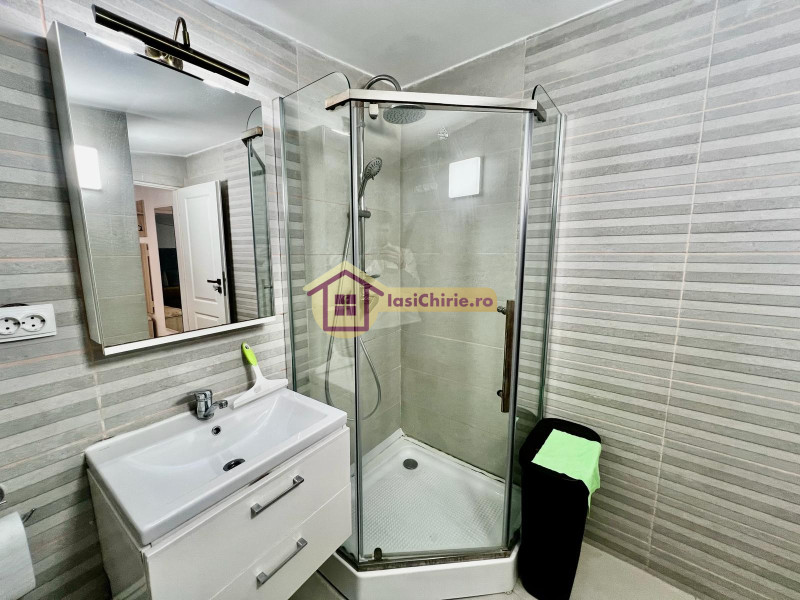 Apartament de inchiriat cu o camera in Iasi, zona Central - Poza 15