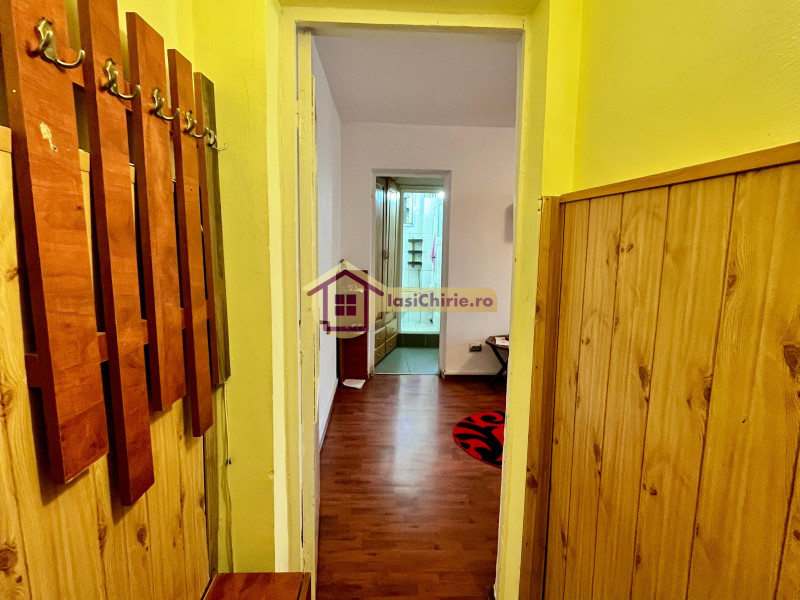 Apartament de inchiriat cu o camera in Iasi, zona Podu Ros - Poza 7