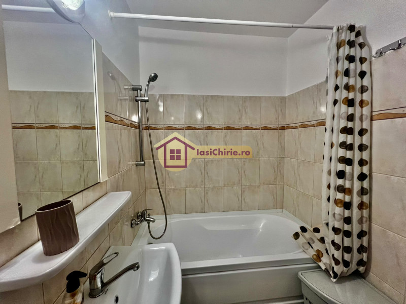Apartament de inchiriat cu o camera in Iasi, zona Tatarasi - Poza 13