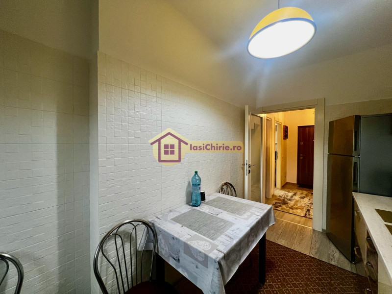 Apartament de inchiriat cu o camera in Iasi, zona Centru - Poza 7