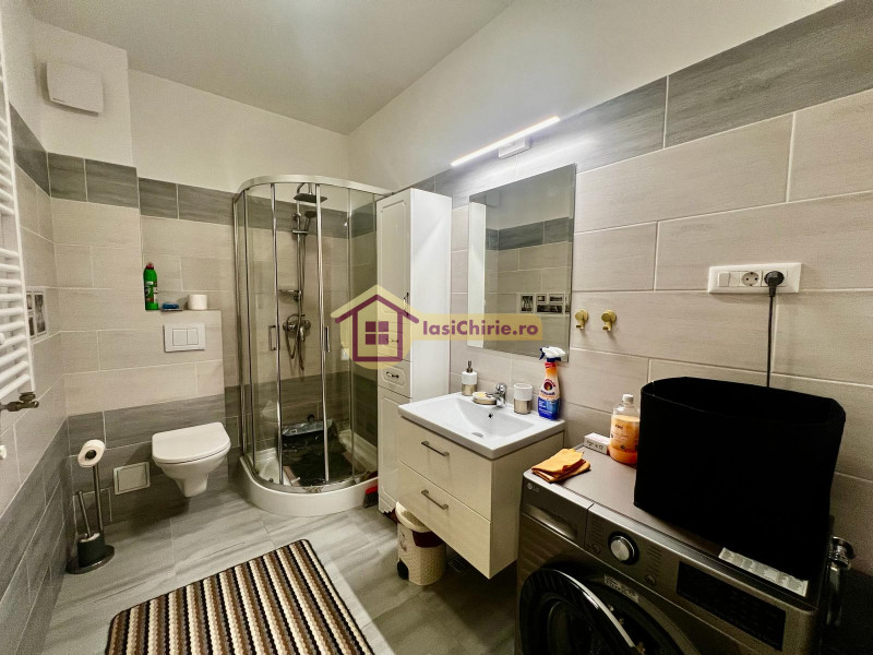 Apartament de inchiriat cu o camera in Iasi, zona Centru - Poza 11