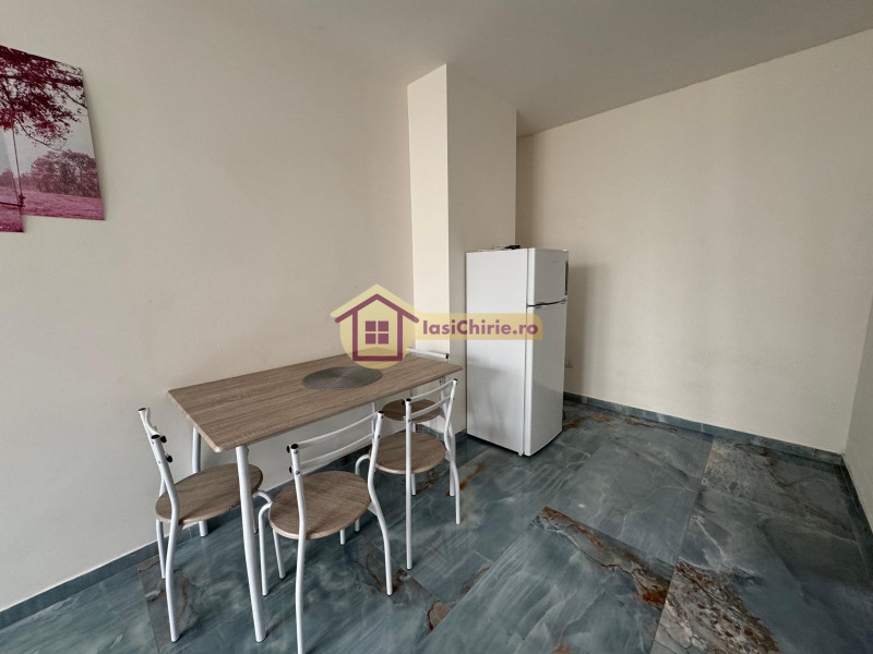 Apartament de inchiriat cu o camera in Iasi, zona Visani - Poza 8