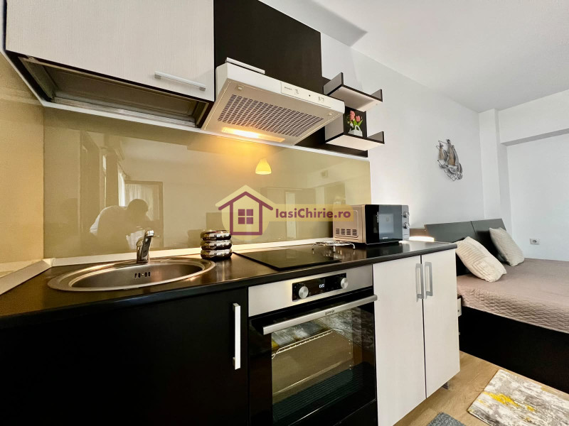 Apartament de inchiriat cu o camera in Iasi, zona Central - Poza 6