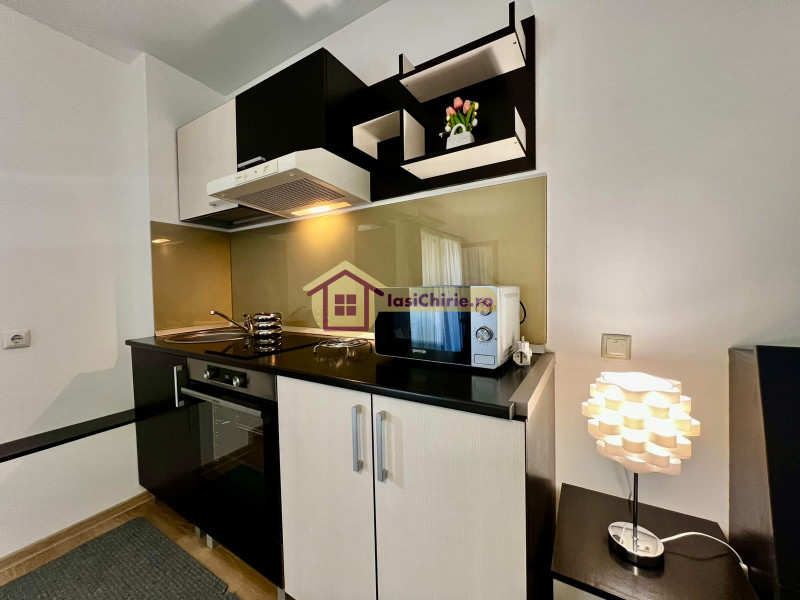 Apartament de inchiriat cu o camera in Iasi, zona Central - Poza 7