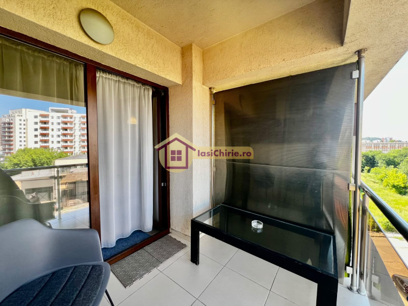 Apartament de inchiriat cu o camera in Iasi, zona Central - Poza 9